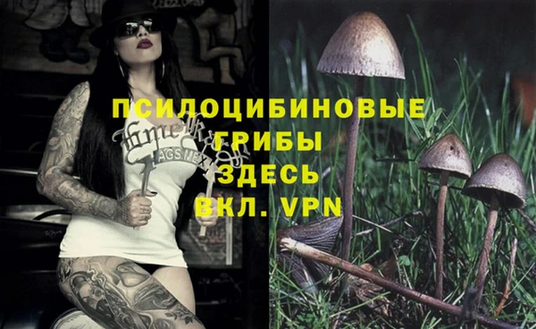 Альфа ПВП Балахна