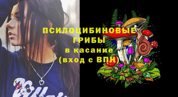 Альфа ПВП Балахна