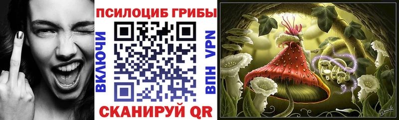 OMG онион  Козельск  Псилоцибиновые грибы Cubensis  где продают  